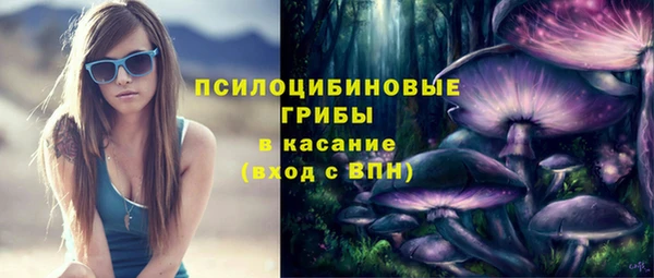 MDMA Premium VHQ Нязепетровск