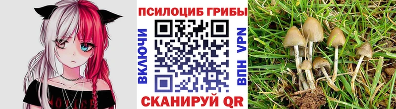 гидра зеркало  shop клад  Псилоцибиновые грибы прущие грибы  Семикаракорск 